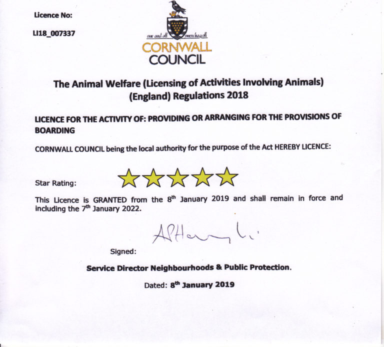 Rating 5 Star Cornwall Council Licence Cornwall Home Dog Boarding